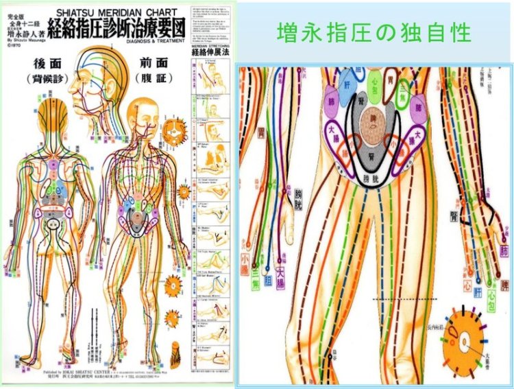 Les méridiens selon Masunaga